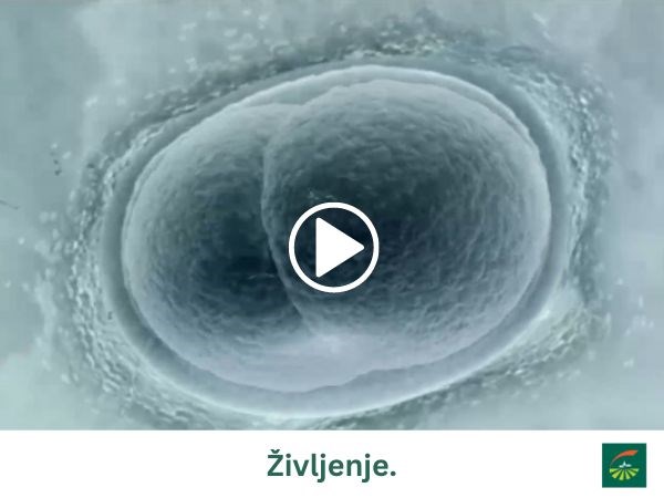 Promocijski video Skupine Groupama